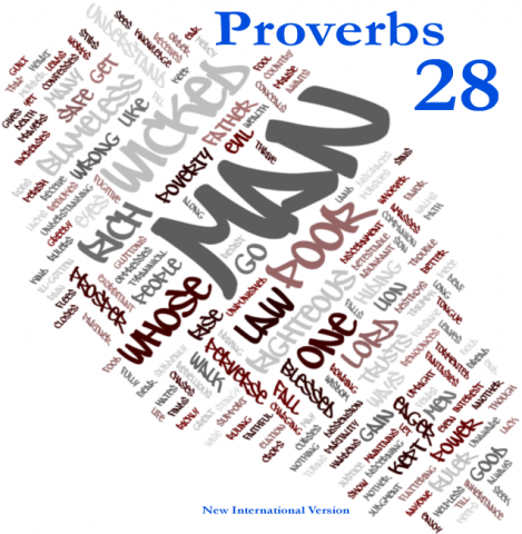 funny proverbs. funny proverbs bible proverbs